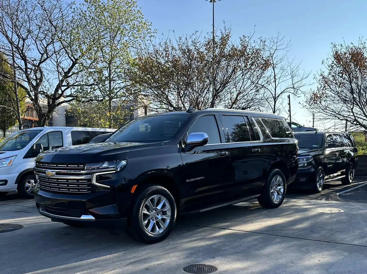 Royal Ride fleet photo