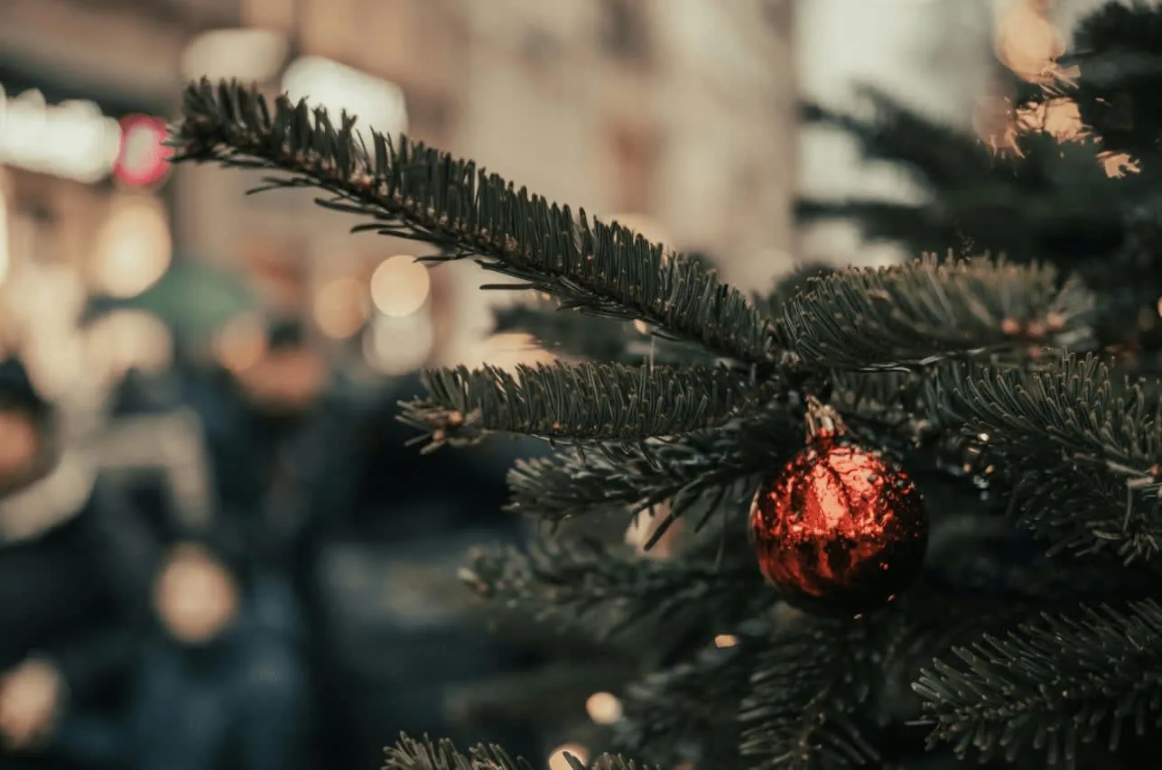 Festive Day Trips in Ohio: Where to Find Holiday Cheer This Season